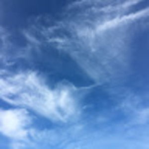 Meet your Posher, Tom